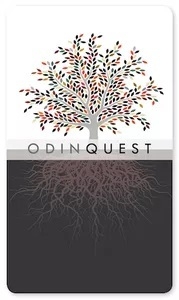   Ʈ Odin Quest